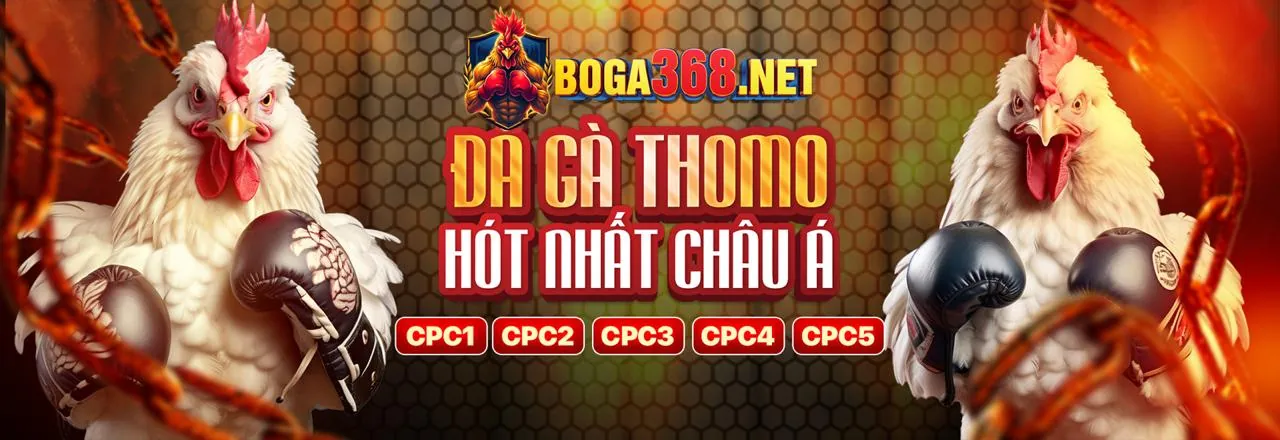 Đá gà trực tuyến kịch tính tại VIP79 WIN