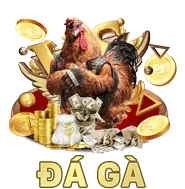 Chương trình VIP của vip79 win